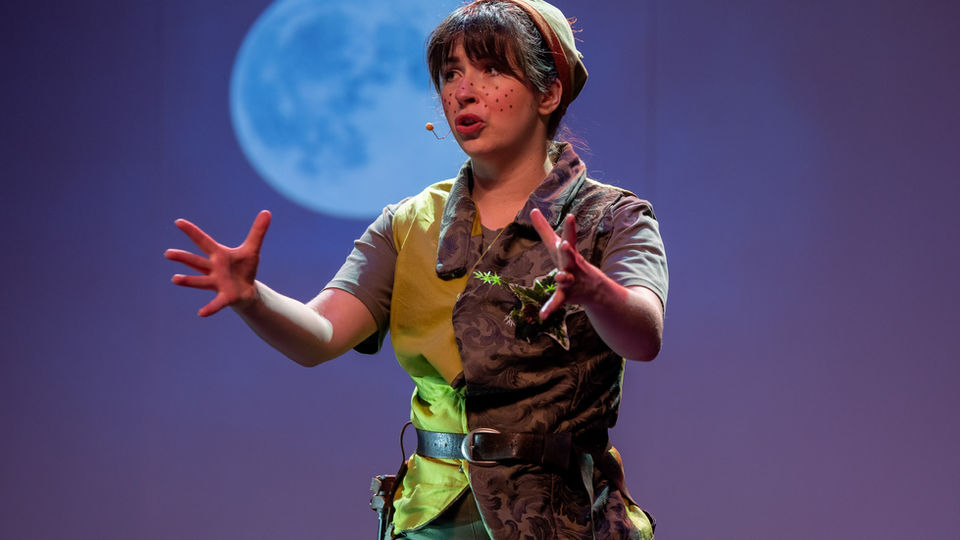 "Don't Say Goodbye" - Peter Pan